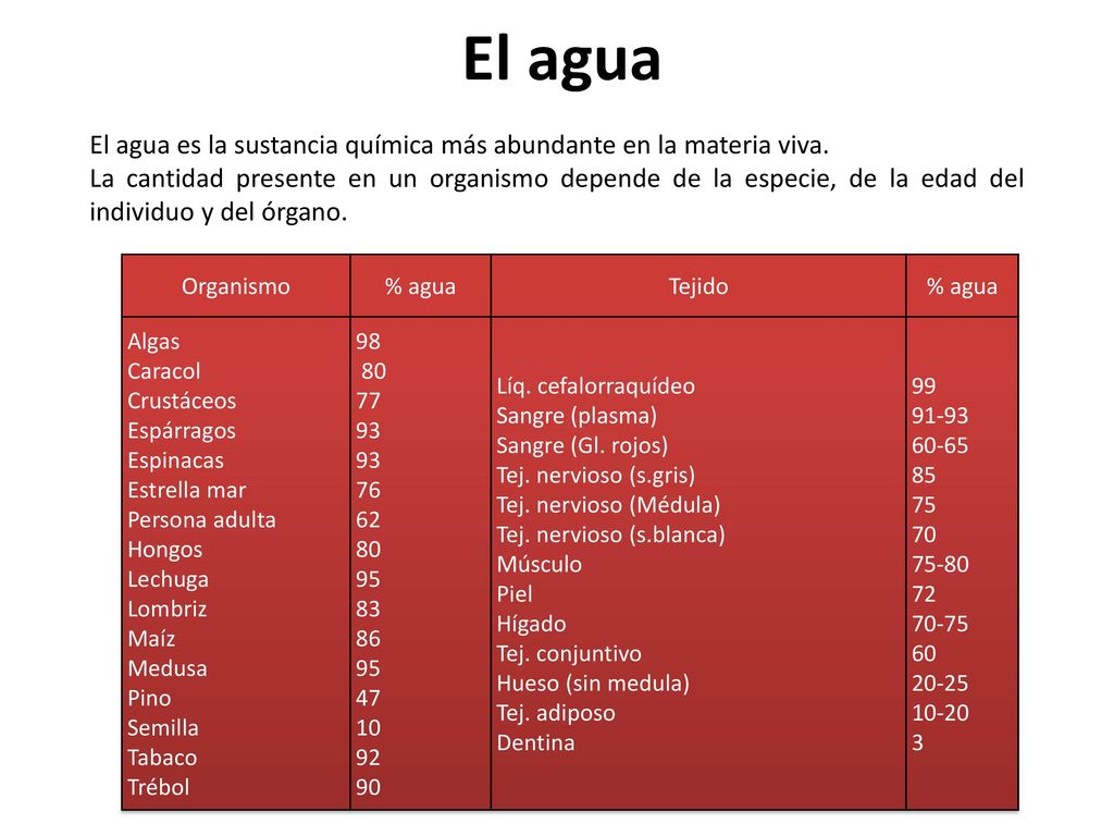 El agua El agua es la sustancia química más abundante en la materia viva.