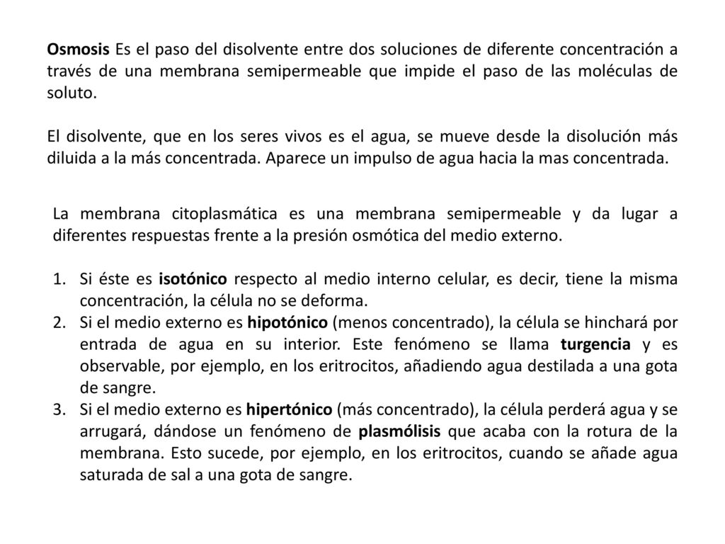 Osmosis Es el paso del disolvente entre dos soluciones de diferente concentración a través de una membrana semipermeable que impide el paso de las moléculas de soluto.