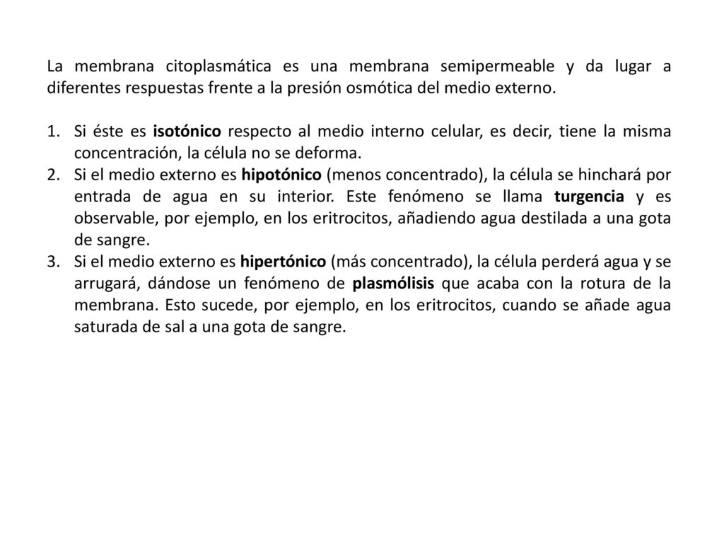 La membrana citoplasmática es una membrana semipermeable y da lugar a diferentes respuestas frente a la presión osmótica del medio externo.