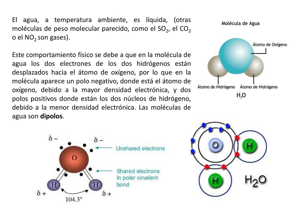 El agua, a temperatura ambiente, es líquida, (otras moléculas de peso molecular parecido, como el SO2, el CO2 o el NO2 son gases).