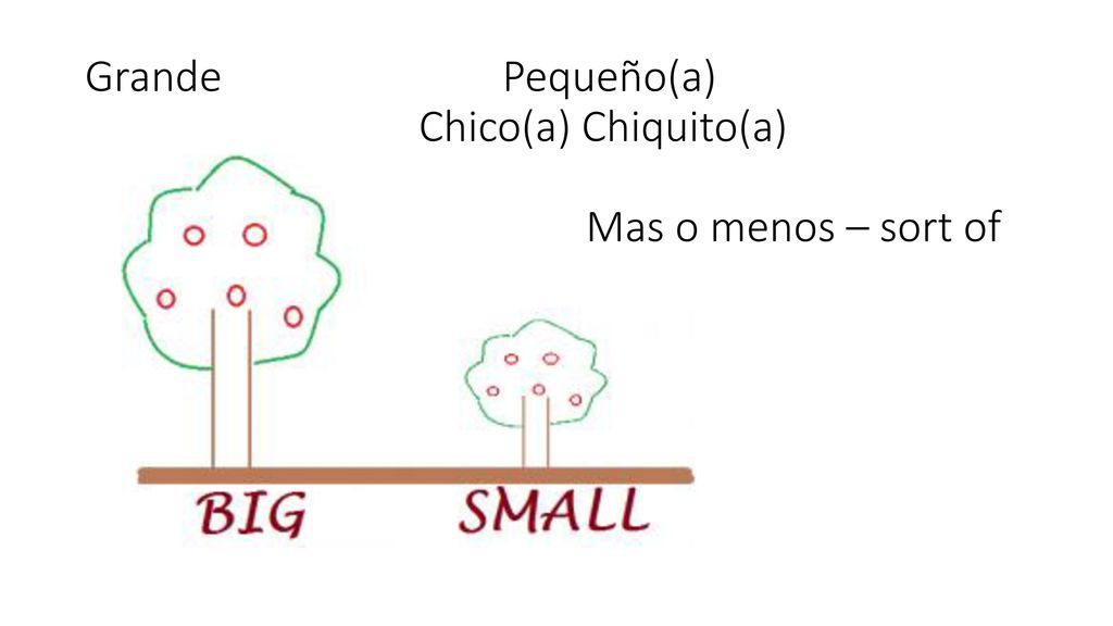 Grande Pequeño(a) Chico(a) Chiquito(a) Mas o menos – sort of