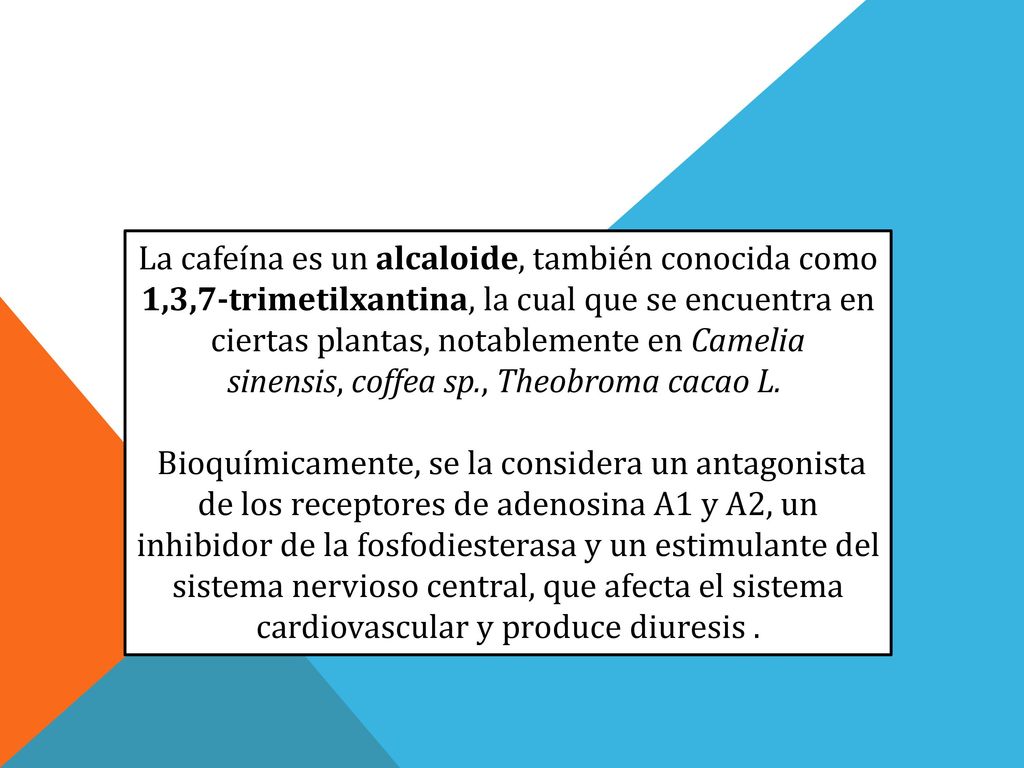La cafeína es un alcaloide, también conocida como 1,3,7-trimetilxantina, la cual que se encuentra en ciertas plantas, notablemente en Camelia sinensis, coffea sp., Theobroma cacao L.