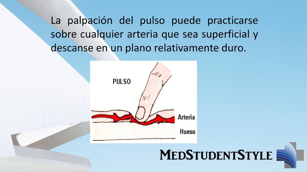 La palpación del pulso puede practicarse sobre cualquier arteria que sea superficial y descanse en un plano relativamente duro.