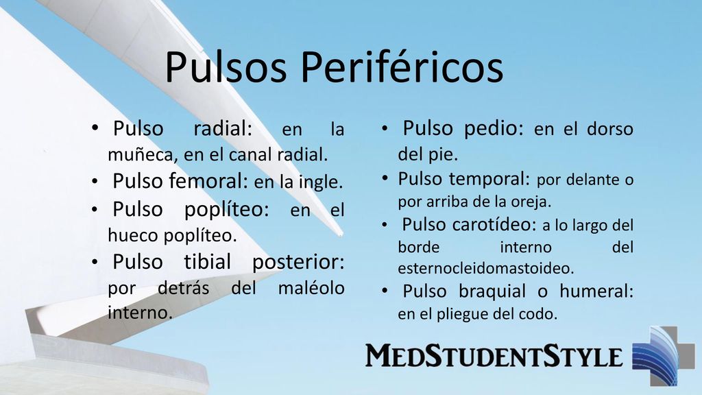 Pulsos Periféricos Pulso radial: en la muñeca, en el canal radial.