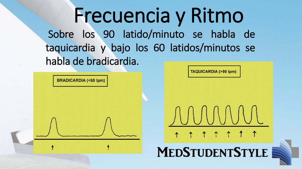 Sobre los 90 latido/minuto se habla de taquicardia y bajo los 60 latidos/minutos se habla de bradicardia.
