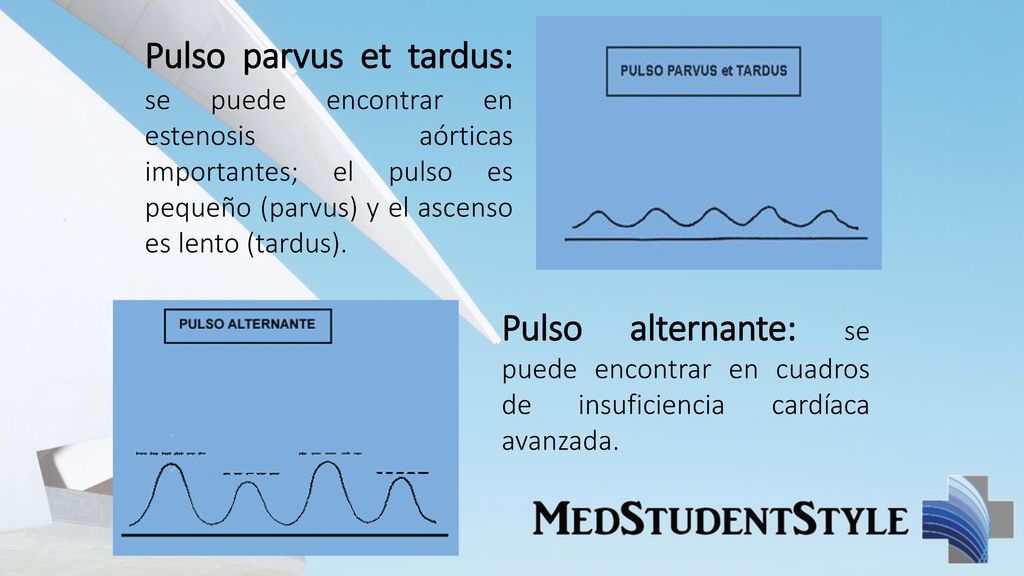 Pulso parvus et tardus: se puede encontrar en estenosis aórticas importantes; el pulso es pequeño (parvus) y el ascenso es lento (tardus).