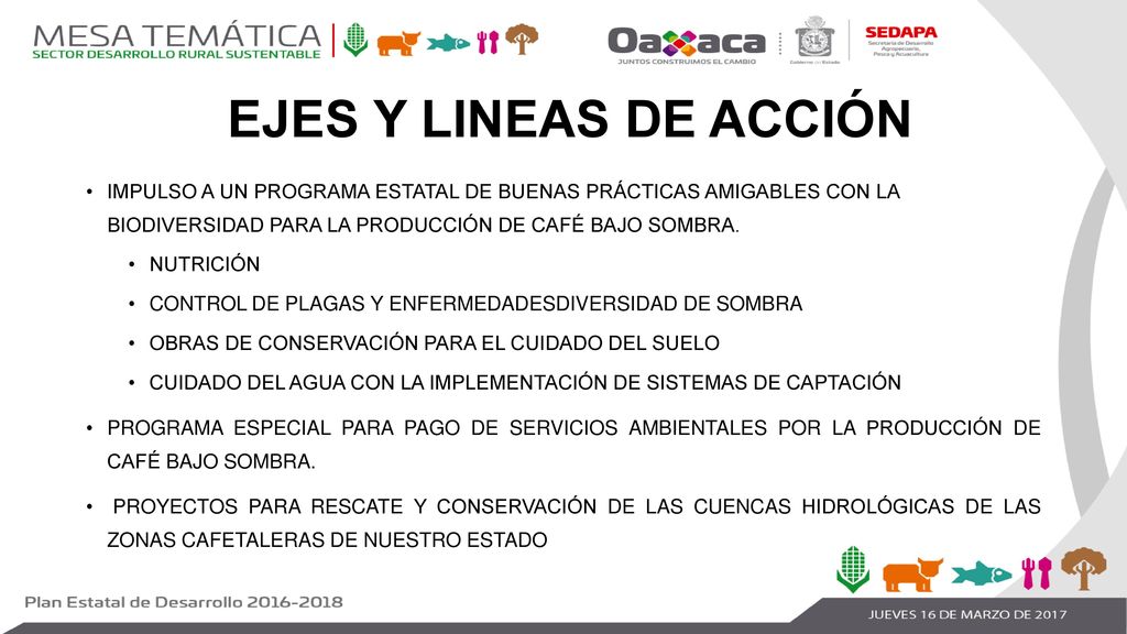 EJES Y LINEAS DE ACCIÓN IMPULSO A UN PROGRAMA ESTATAL DE BUENAS PRÁCTICAS AMIGABLES CON LA BIODIVERSIDAD PARA LA PRODUCCIÓN DE CAFÉ BAJO SOMBRA.