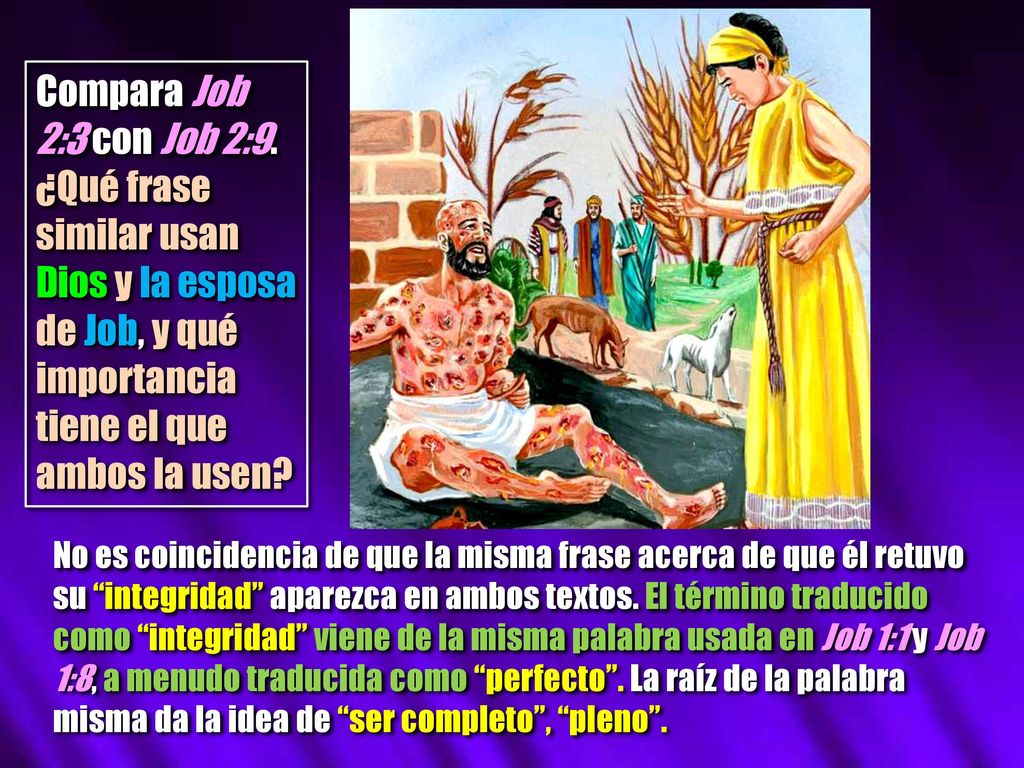 Compara Job 2:3 con Job 2:9. ¿Qué frase similar usan Dios y la esposa de Job, y qué importancia tiene el que ambos la usen