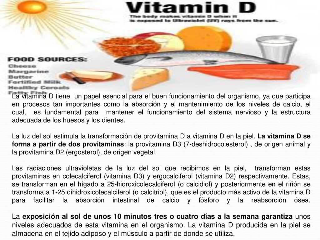 La vitamina D tiene un papel esencial para el buen funcionamiento del organismo, ya que participa en procesos tan importantes como la absorción y el mantenimiento de los niveles de calcio, el cual, es fundamental para mantener el funcionamiento del sistema nervioso y la estructura adecuada de los huesos y los dientes.