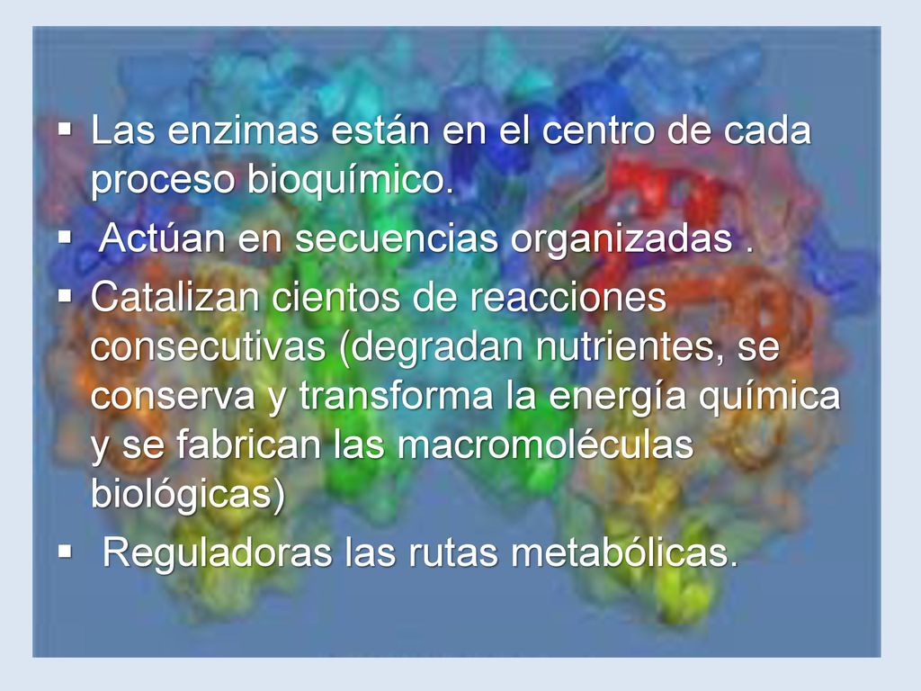 Las enzimas están en el centro de cada proceso bioquímico.