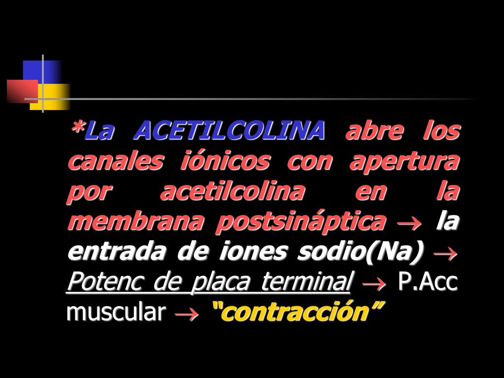 *La ACETILCOLINA abre los canales iónicos con apertura por acetilcolina en la membrana postsináptica  la entrada de iones sodio(Na)  Potenc de placa terminal  P.Acc muscular  contracción