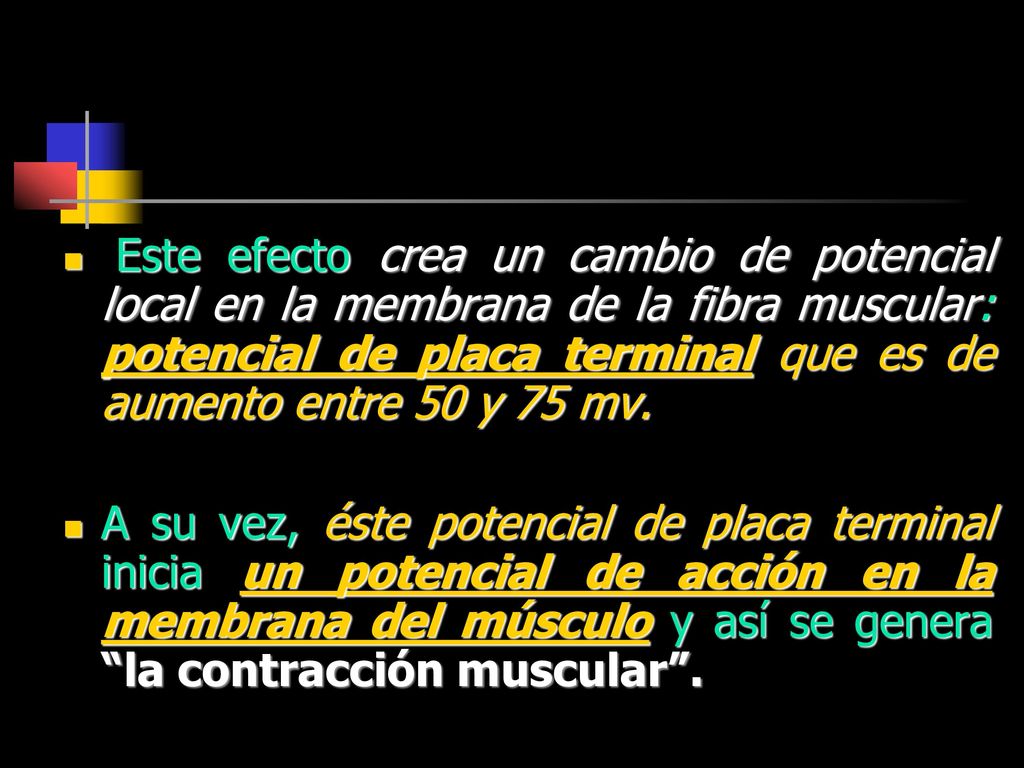 Este efecto crea un cambio de potencial local en la membrana de la fibra muscular: potencial de placa terminal que es de aumento entre 50 y 75 mv.