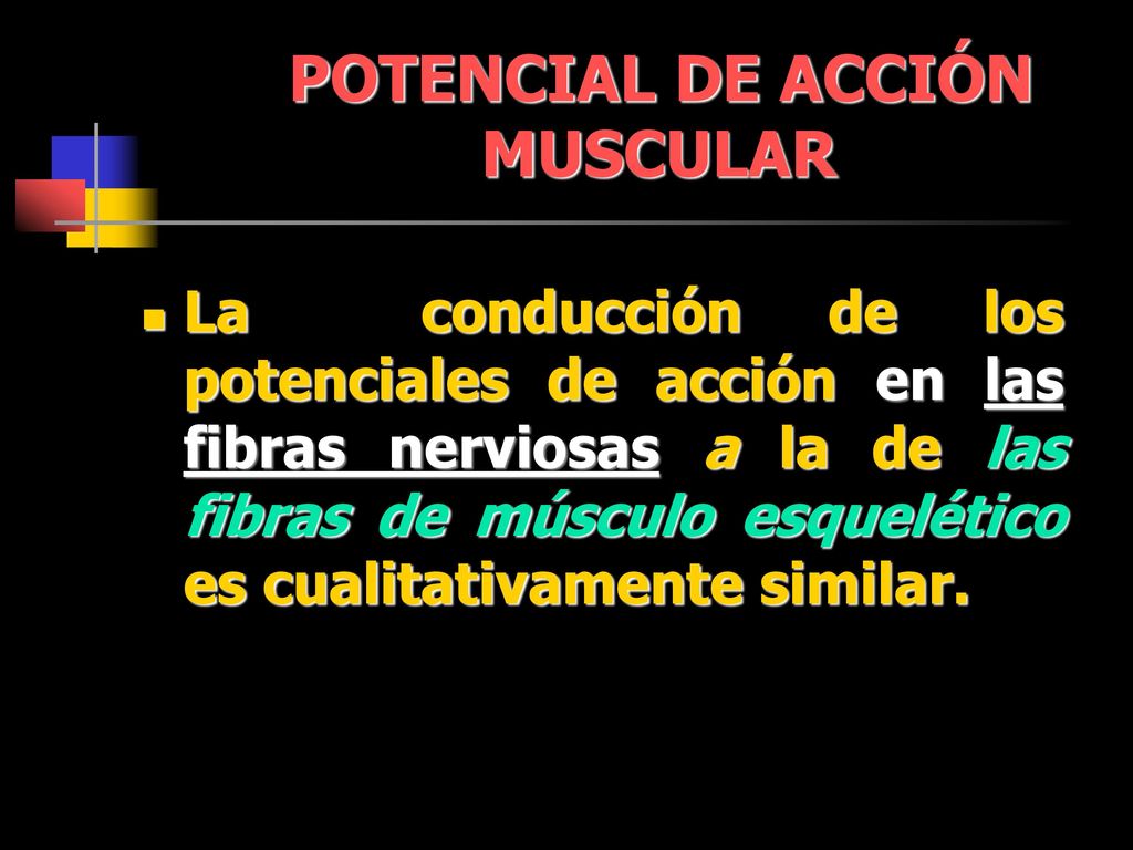 POTENCIAL DE ACCIÓN MUSCULAR
