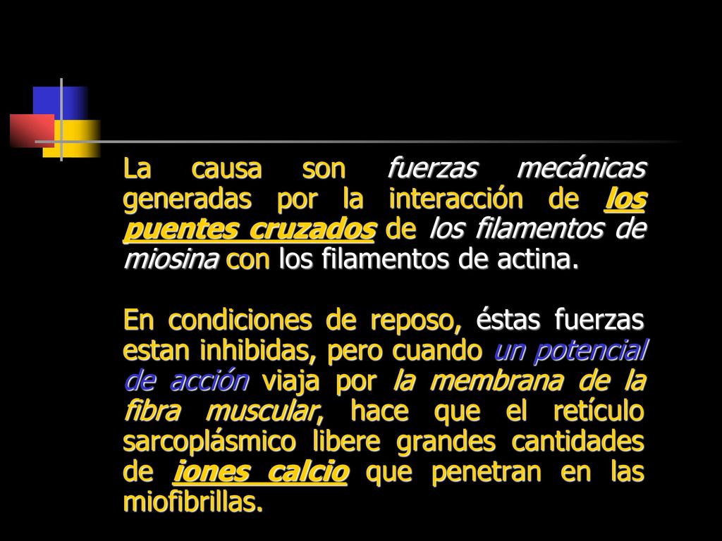 La causa son fuerzas mecánicas generadas por la interacción de los puentes cruzados de los filamentos de miosina con los filamentos de actina.