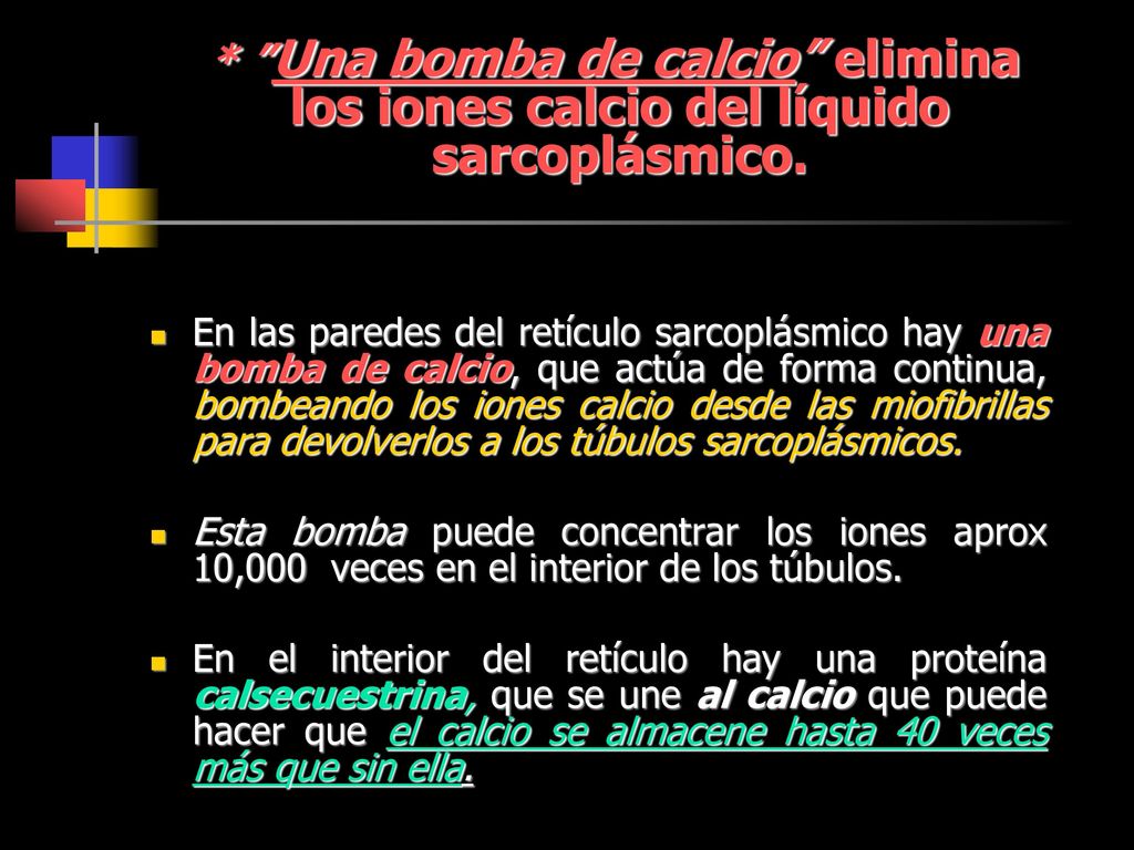 * Una bomba de calcio elimina los iones calcio del líquido sarcoplásmico.