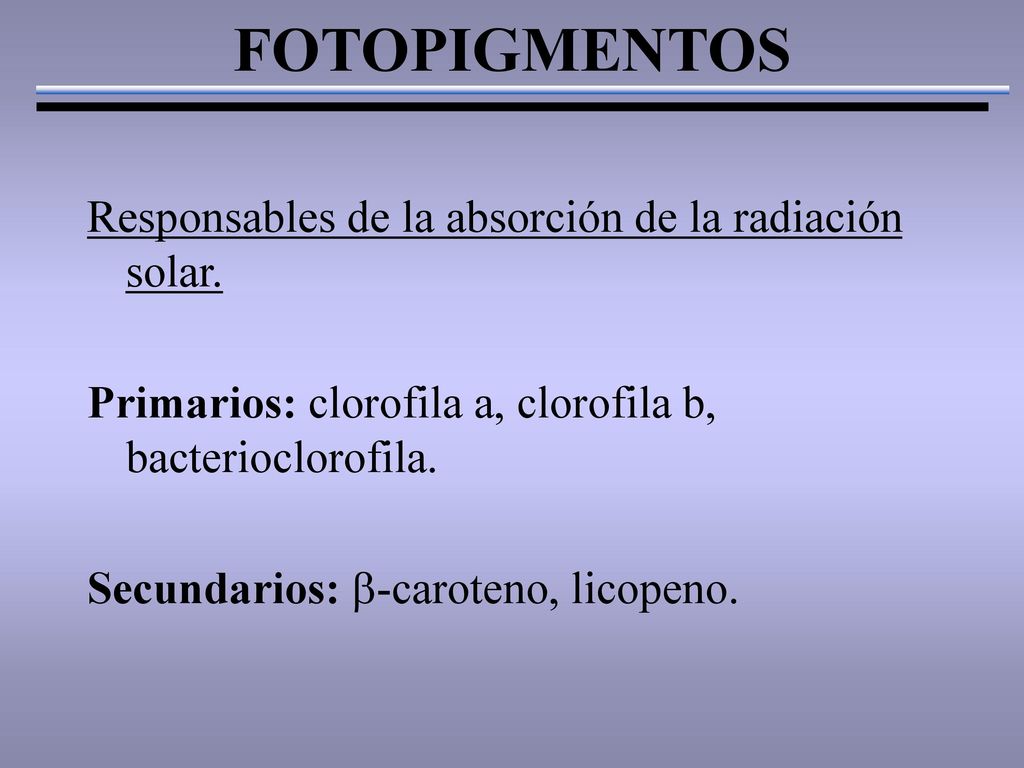 FOTOPIGMENTOS Responsables de la absorción de la radiación solar.