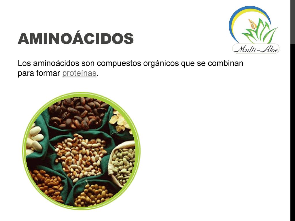 AminoÁcidos Los aminoácidos son compuestos orgánicos que se combinan para formar proteínas.