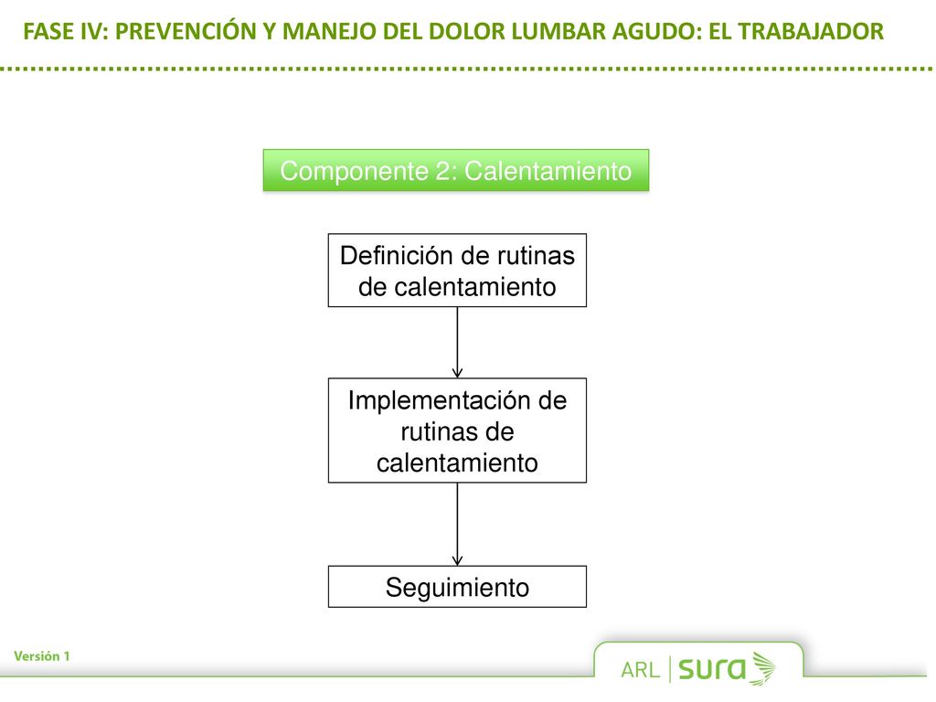 FASE IV: PREVENCIÓN Y MANEJO DEL DOLOR LUMBAR AGUDO: EL TRABAJADOR