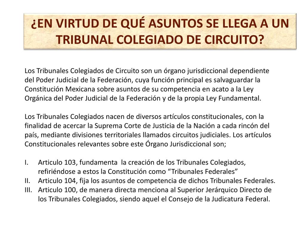 ¿EN VIRTUD DE QUÉ ASUNTOS SE LLEGA A UN TRIBUNAL COLEGIADO DE CIRCUITO