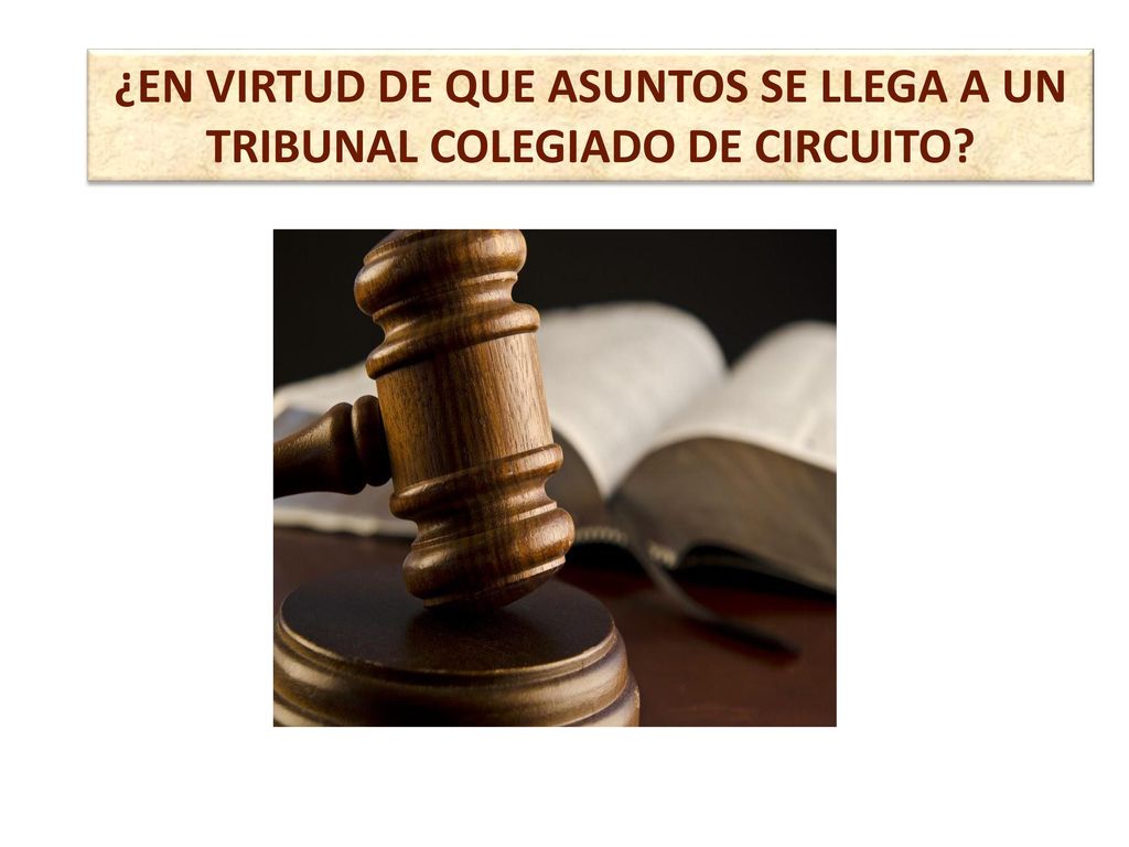 ¿EN VIRTUD DE QUE ASUNTOS SE LLEGA A UN TRIBUNAL COLEGIADO DE CIRCUITO