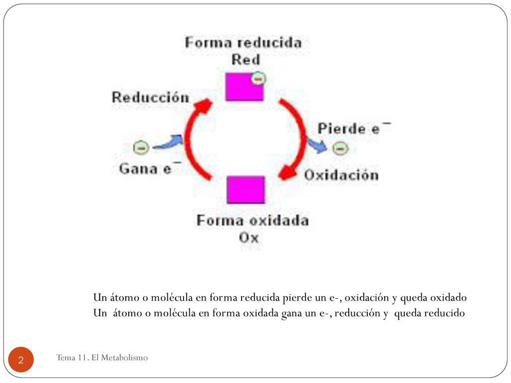 Un átomo o molécula en forma reducida pierde un e-, oxidación y queda oxidado