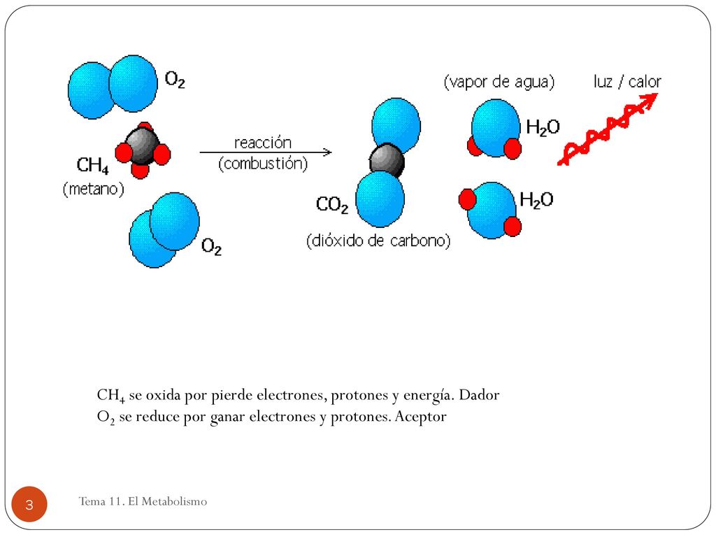 CH4 se oxida por pierde electrones, protones y energía. Dador