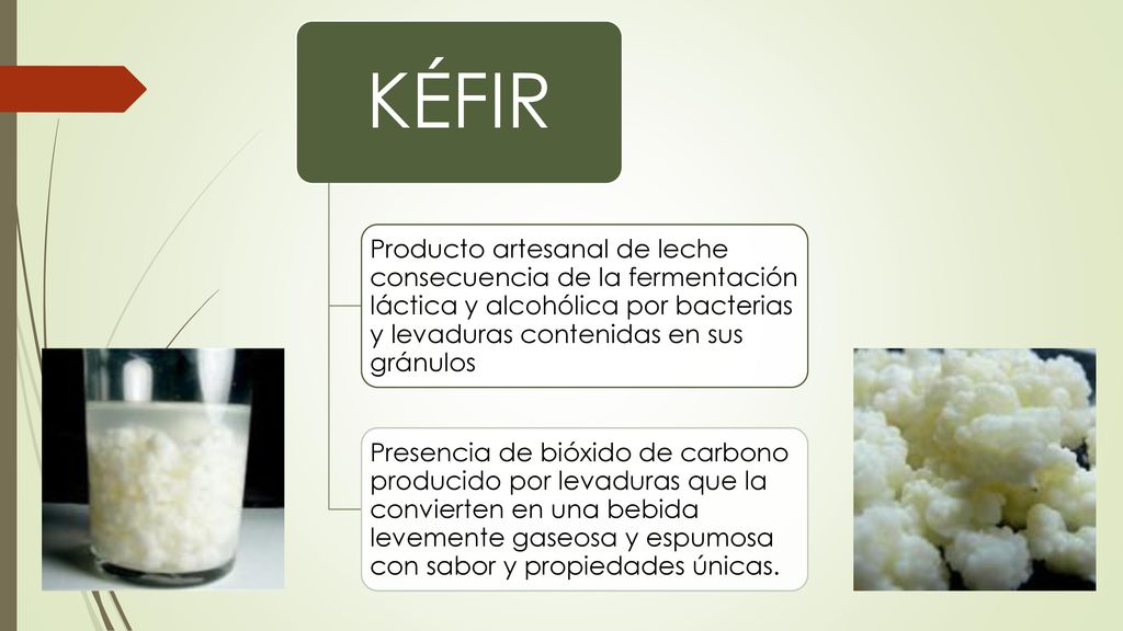 KÉFIR Producto artesanal de leche consecuencia de la fermentación láctica y alcohólica por bacterias y levaduras contenidas en sus gránulos.