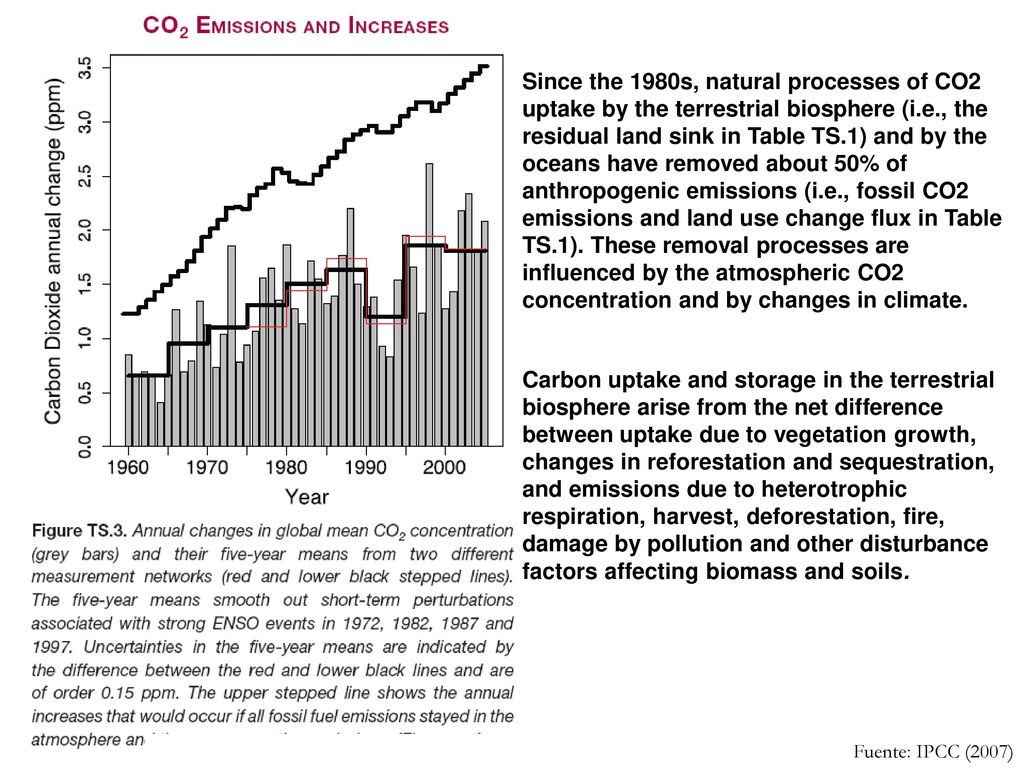 Since the 1980s, natural processes of CO2 uptake by the terrestrial biosphere (i.e., the residual land sink in Table TS.1) and by the oceans have removed about 50% of anthropogenic emissions (i.e., fossil CO2 emissions and land use change flux in Table TS.1). These removal processes are influenced by the atmospheric CO2 concentration and by changes in climate.