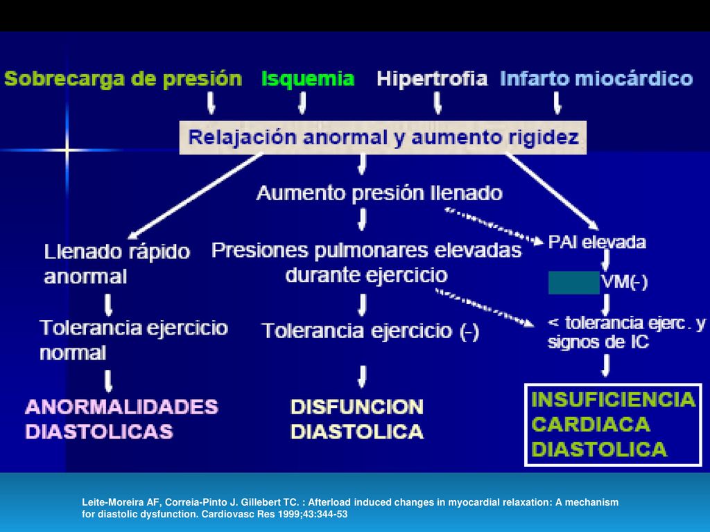 Leite-Moreira AF, Correia-Pinto J. Gillebert TC