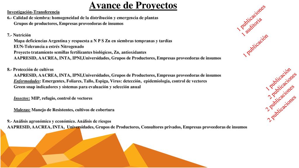 Avance de Proyectos 1 publicaciones 1 auditoria 1 publicación