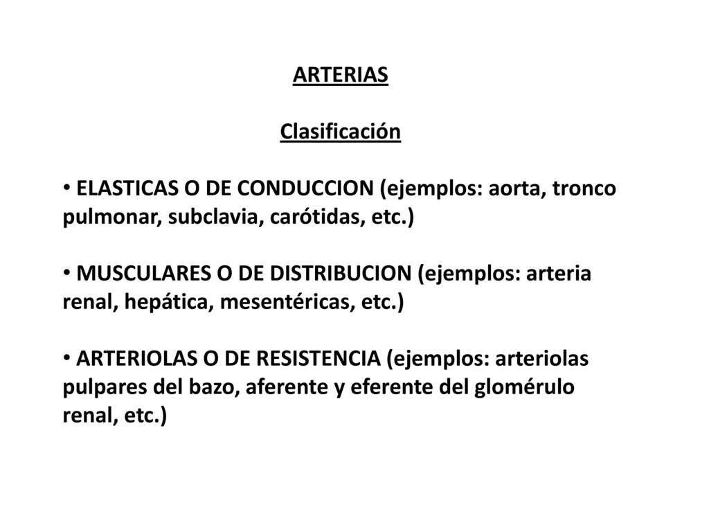 ARTERIAS. Clasificación. ELASTICAS O DE CONDUCCION (ejemplos: aorta, tronco pulmonar, subclavia, carótidas, etc.)