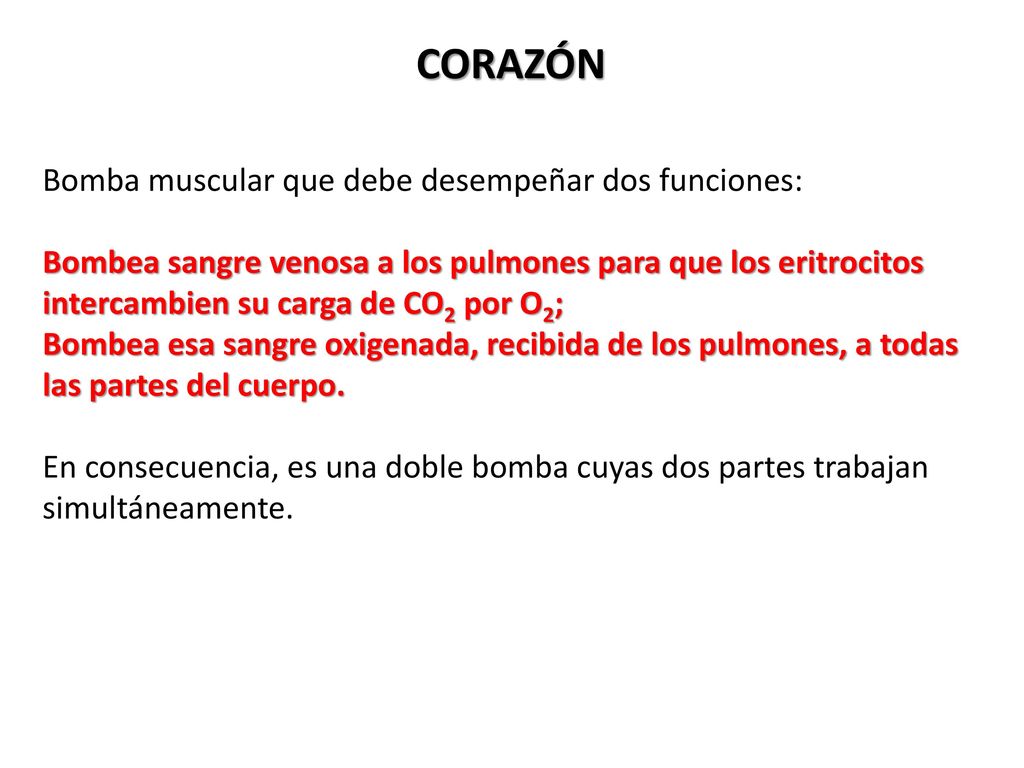 CORAZÓN Bomba muscular que debe desempeñar dos funciones: