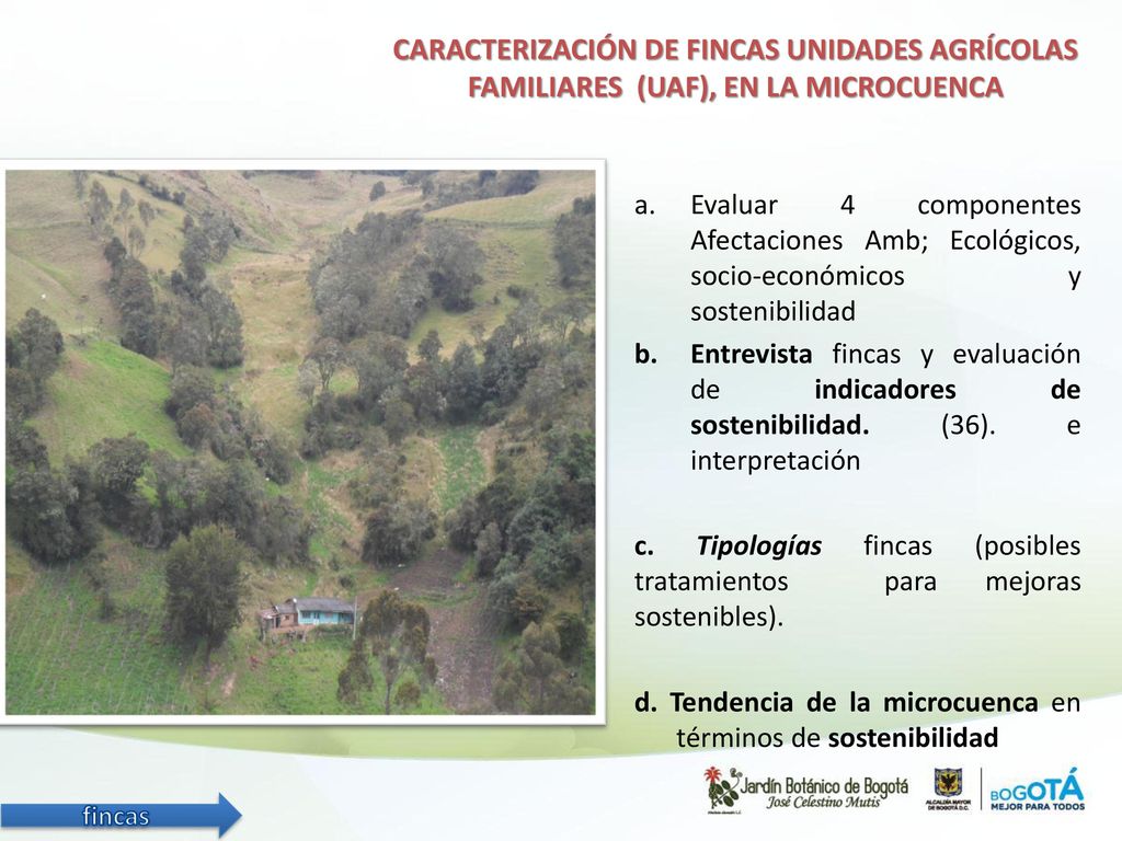 CARACTERIZACIÓN DE FINCAS UNIDADES AGRÍCOLAS FAMILIARES (UAF), EN LA MICROCUENCA