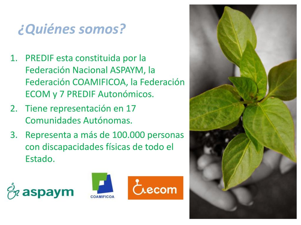 ¿Quiénes somos PREDIF esta constituida por la Federación Nacional ASPAYM, la Federación COAMIFICOA, la Federación ECOM y 7 PREDIF Autonómicos.