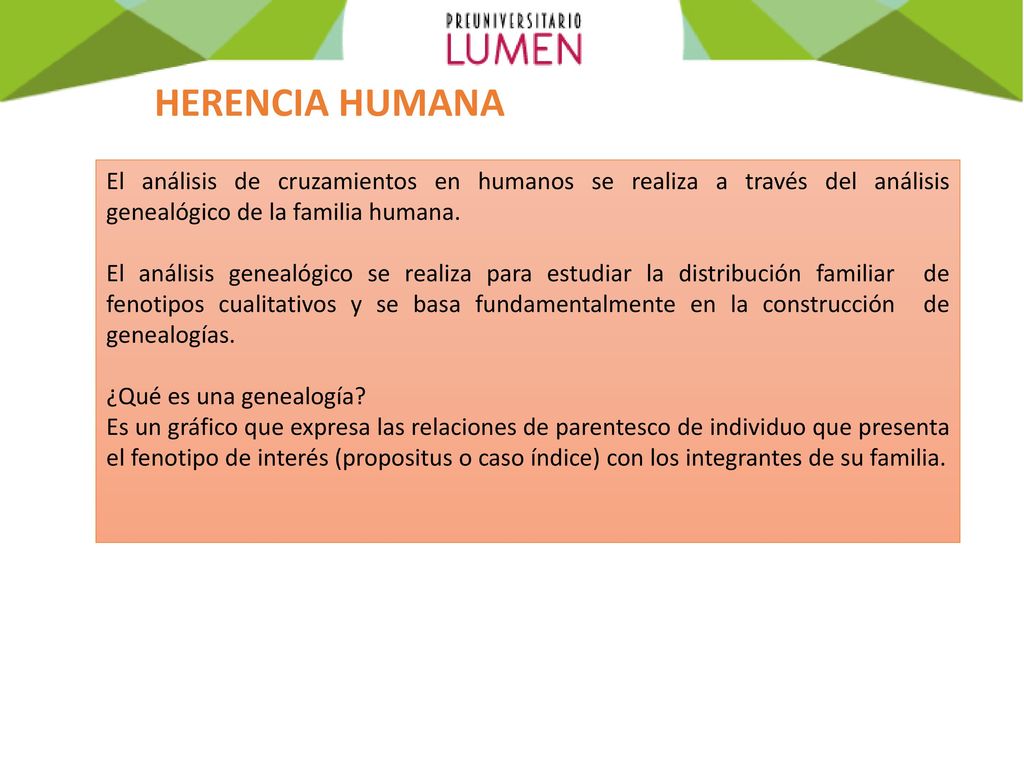 HERENCIA HUMANA El análisis de cruzamientos en humanos se realiza a través del análisis genealógico de la familia humana.