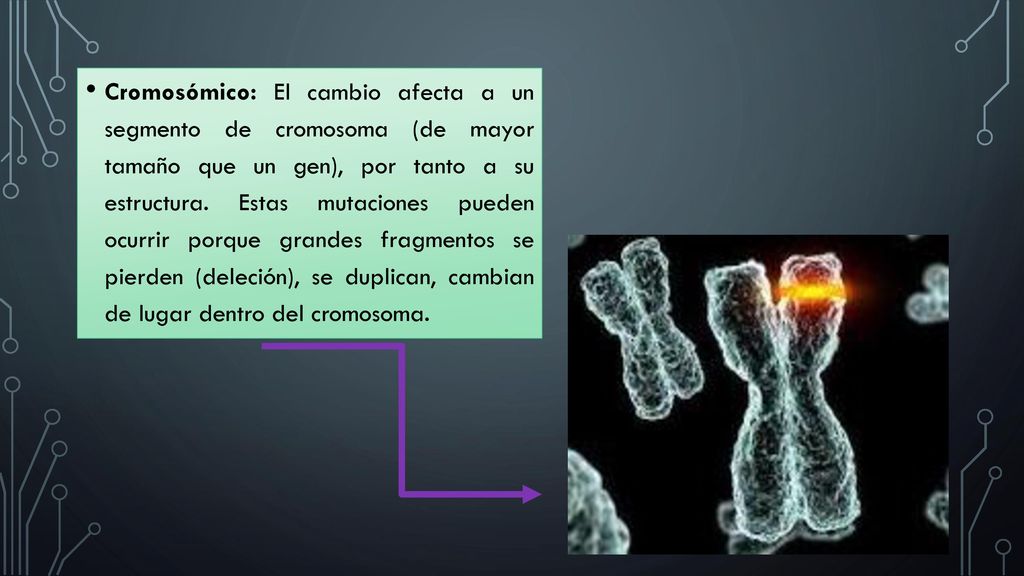 Cromosómico: El cambio afecta a un segmento de cromosoma (de mayor tamaño que un gen), por tanto a su estructura.