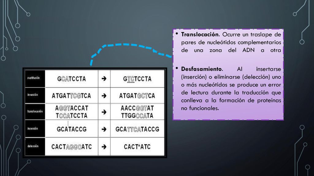 Translocación. Ocurre un traslape de pares de nucleótidos complementarios de una zona del ADN a otra