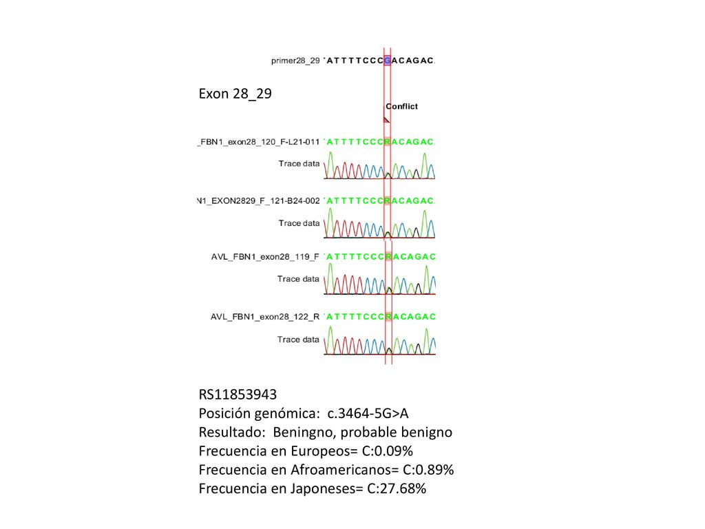 Exon 28_29 RS Posición genómica: c G>A. Resultado: Beningno, probable benigno. Frecuencia en Europeos= C:0.09%