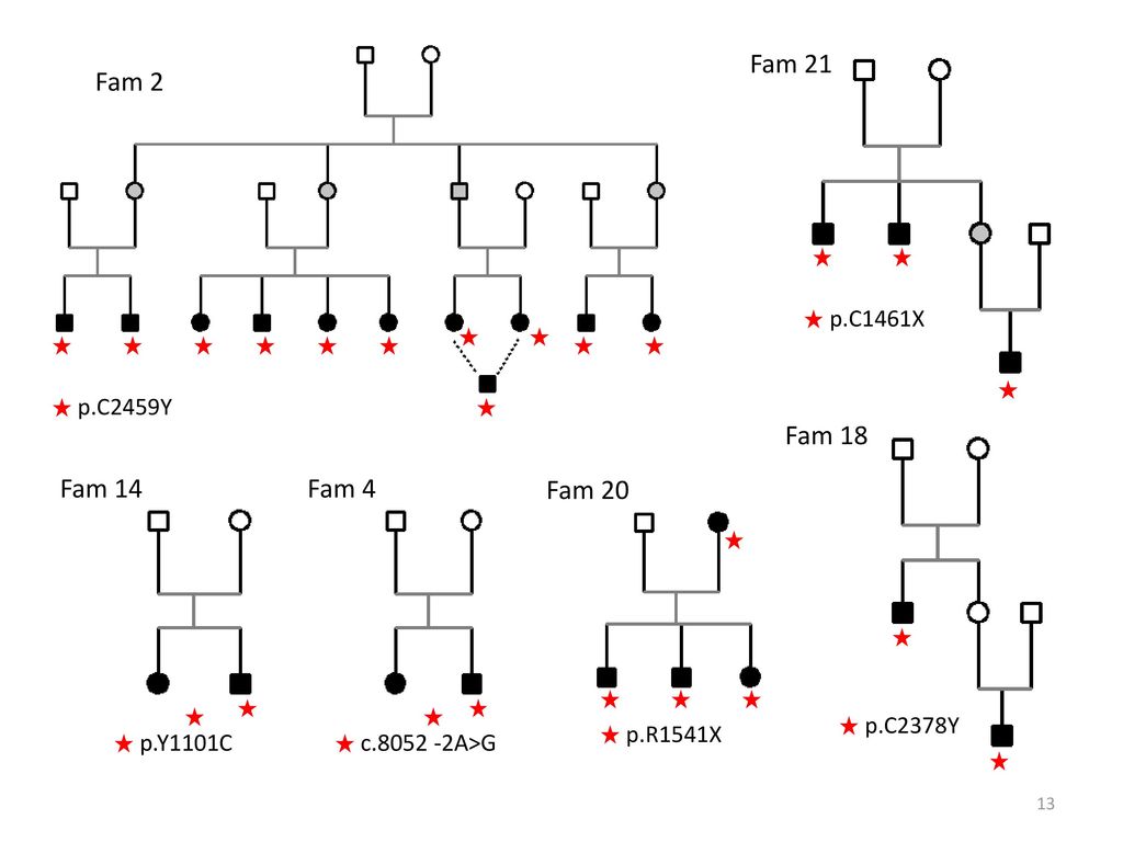 Fam 21 Fam 2 Fam 18 Fam 14 Fam 4 Fam 20 p.C1461X p.C2459Y p.C2378Y
