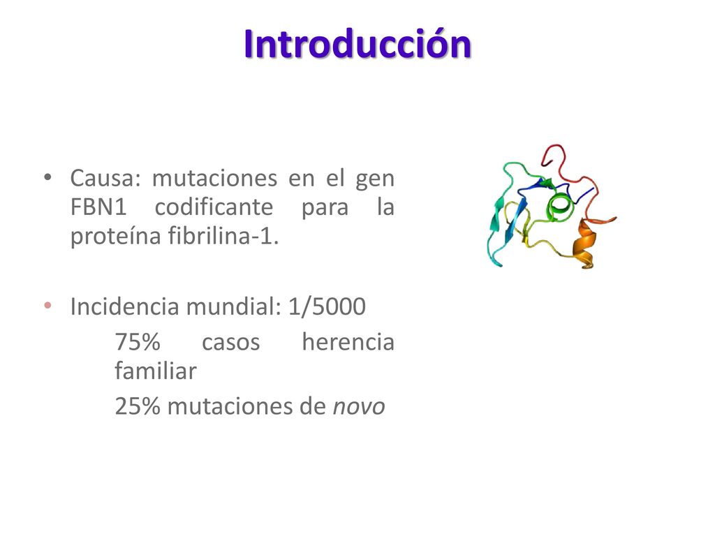Introducción Causa: mutaciones en el gen FBN1 codificante para la proteína fibrilina-1. Incidencia mundial: 1/5000.