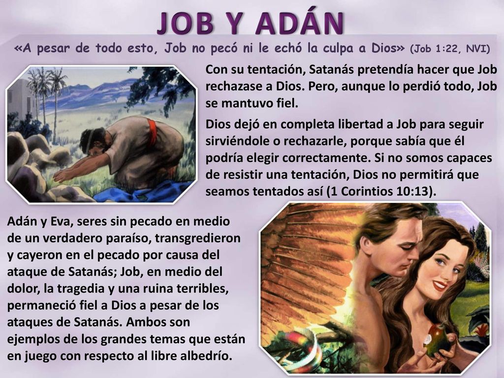 «A pesar de todo esto, Job no pecó ni le echó la culpa a Dios» (Job 1:22, NVI)