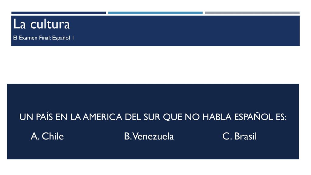 Un país en La America del sur que no habla Español es: