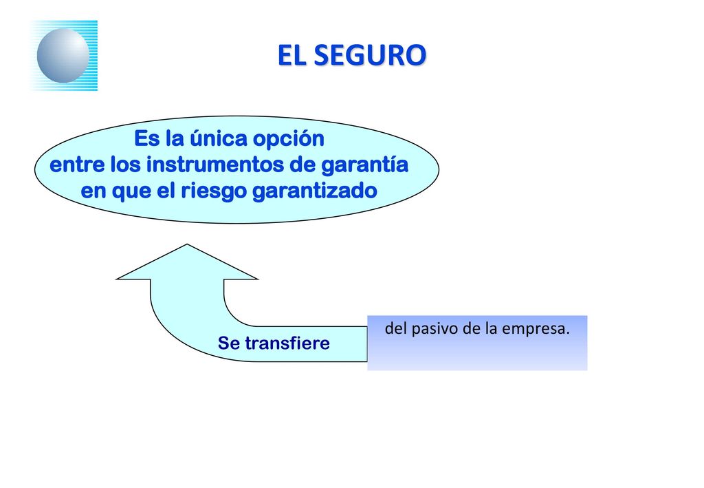 entre los instrumentos de garantía en que el riesgo garantizado