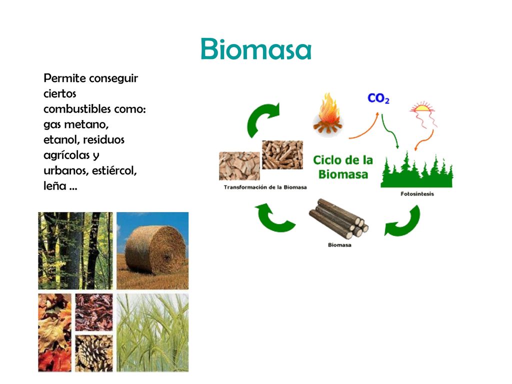 Biomasa Permite conseguir ciertos combustibles como: gas metano, etanol, residuos agrícolas y urbanos, estiércol, leña …