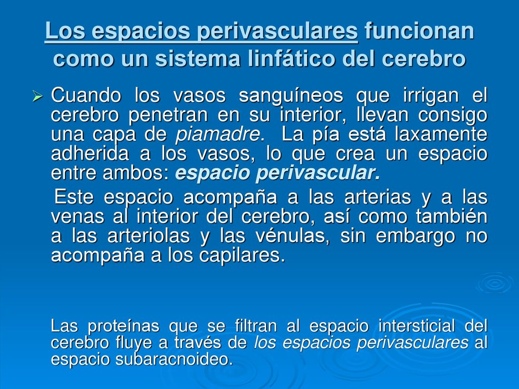 Los espacios perivasculares funcionan como un sistema linfático del cerebro