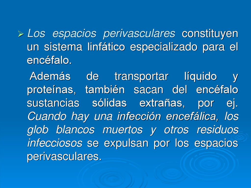 Los espacios perivasculares constituyen un sistema linfático especializado para el encéfalo.