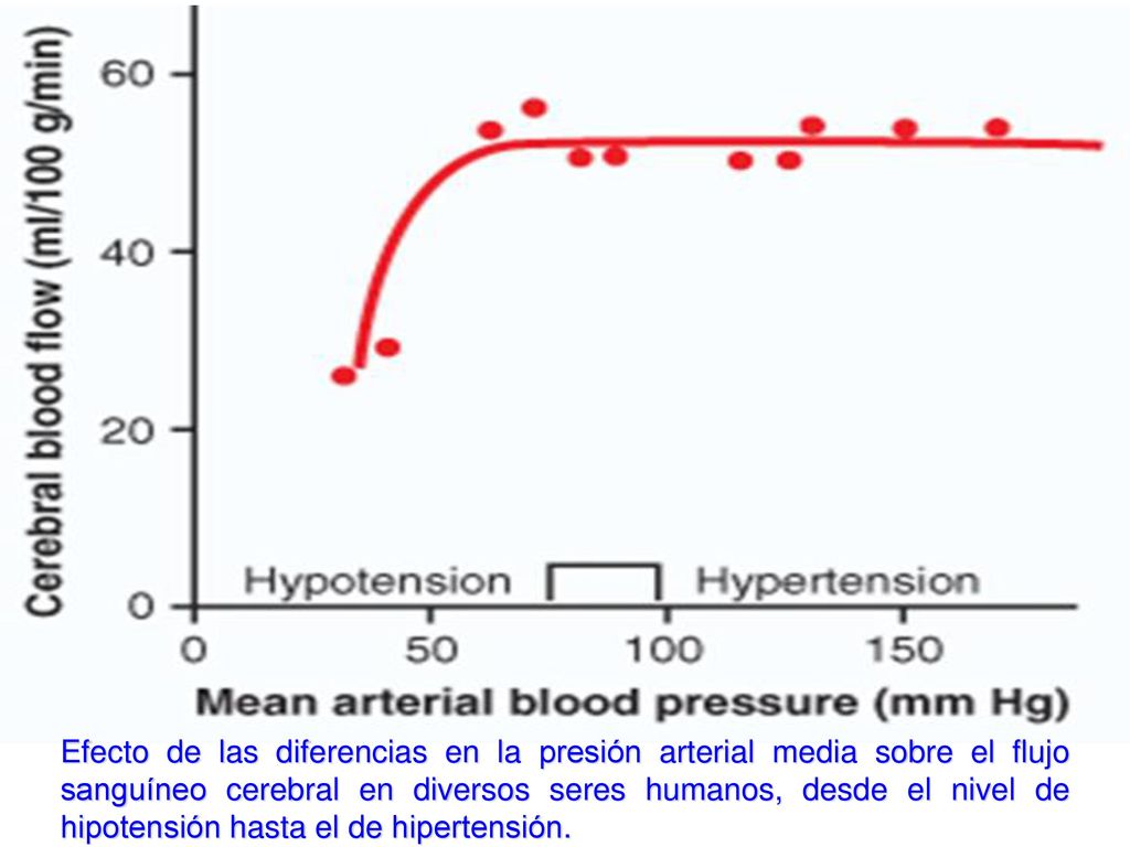 Efecto de las diferencias en la presión arterial media sobre el flujo sanguíneo cerebral en diversos seres humanos, desde el nivel de hipotensión hasta el de hipertensión.