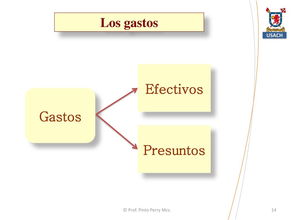 Los gastos USACH Efectivos Gastos Presuntos © Prof. Pinto Perry Mcs.