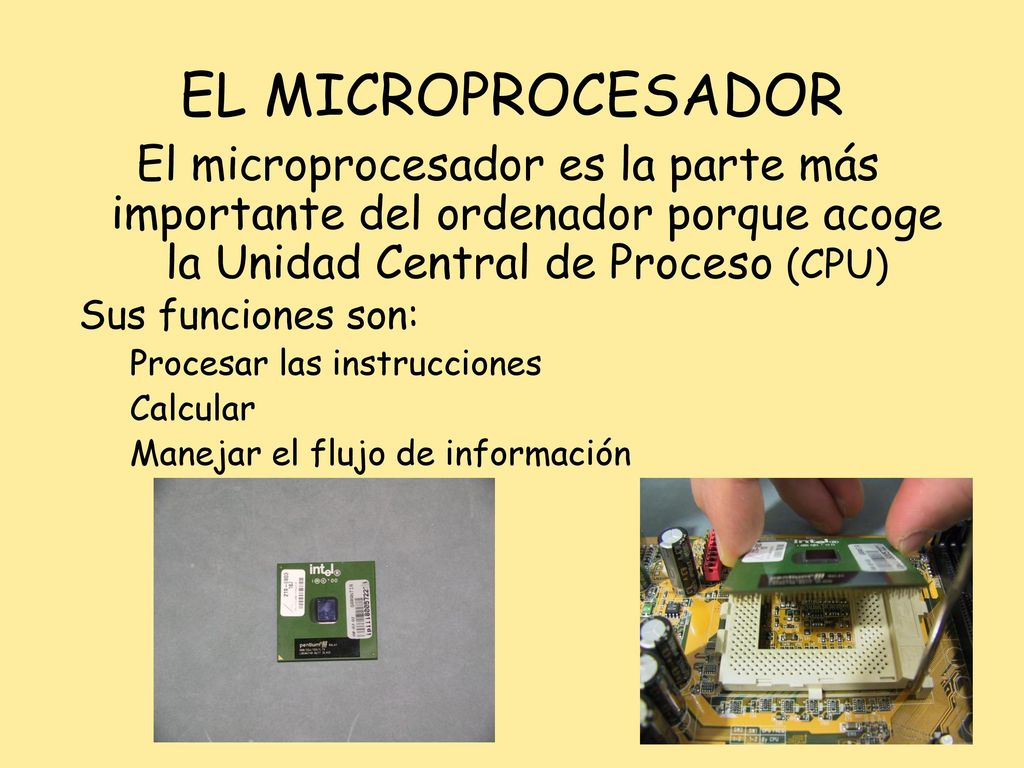 EL MICROPROCESADOR El microprocesador es la parte más importante del ordenador porque acoge la Unidad Central de Proceso (CPU)