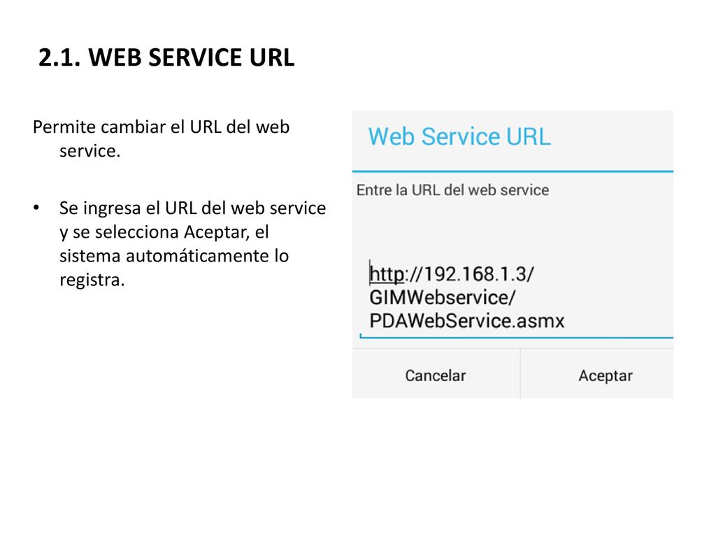 2.1. WEB SERVICE URL Permite cambiar el URL del web service.